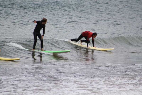 Surf Harmony