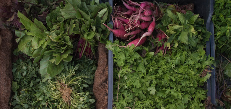 Salade©peter-feghali_unsplash