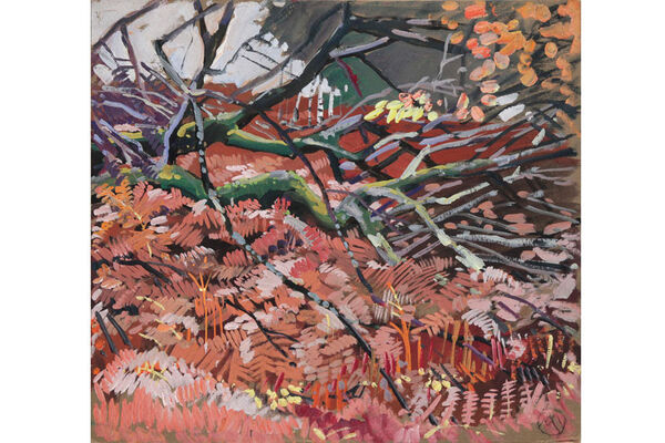 Mathurin Méheut, Sous-bois, fougères, musée Mathurin Méheut