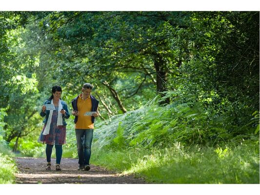 Sentier-bout-lande-Monteneuf
