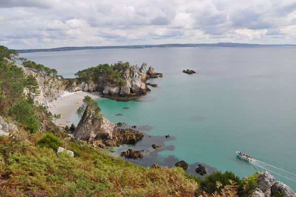 Vedettes Sirènes