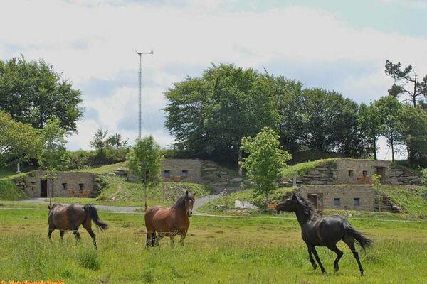 Troglogîtes des Monts d'Arrée