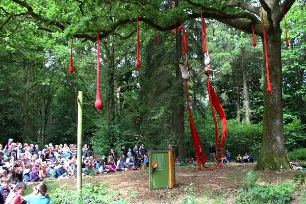 Un-dimanche-en-foret2