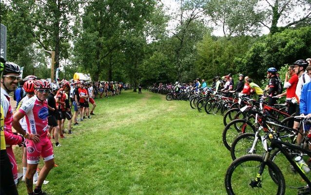VTT