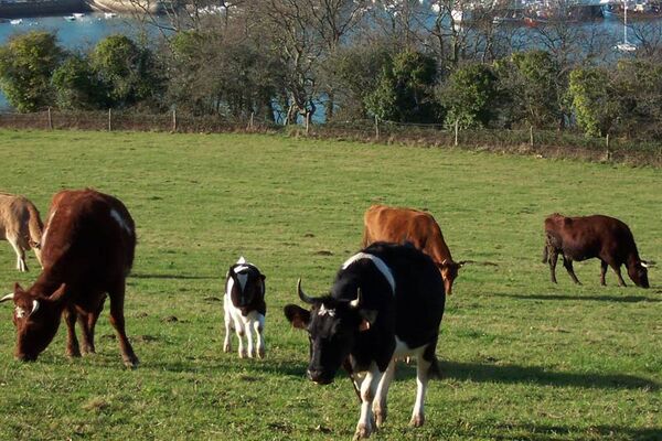 Ferme des Plomarc'h