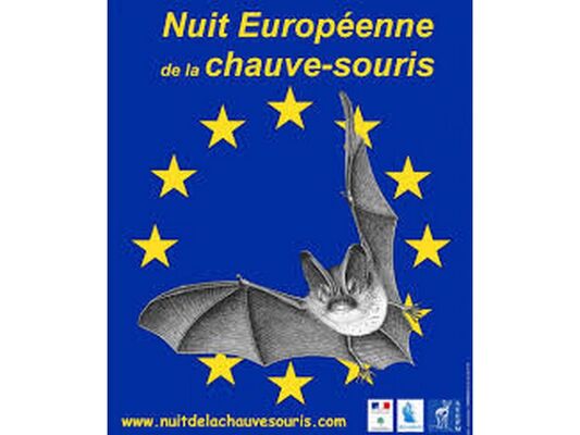 nuit de la chauve-souris - Monteneuf - Destination Brocéliande
