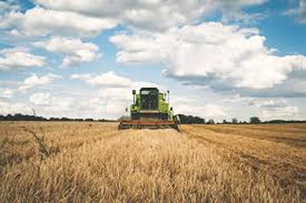 agriculture-9