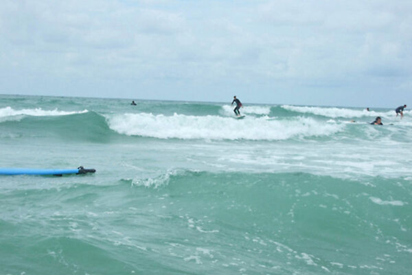 Allons surfer