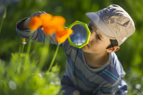 Enfant observant la nature avec une loupe