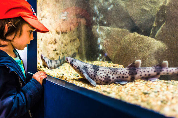 Aquarium Marin de Trégastel