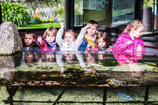 Aquarium Marin de Trégastel