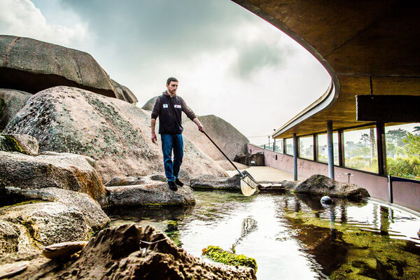 Aquarium Marin de Trégastel