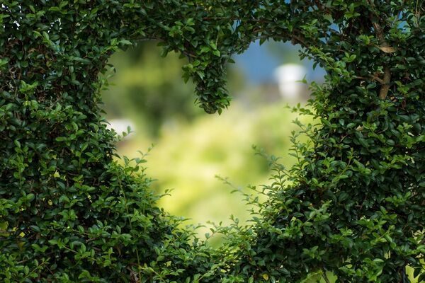 art et nature_Bréal_29 juin 2019