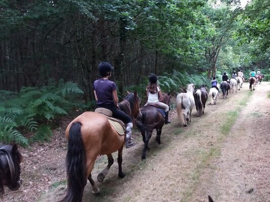 Balade-cheval-Brocéliande-Morbihan-Bretagne