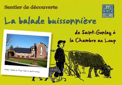 balade buissonnière Maison du patrimoine Brocéliande