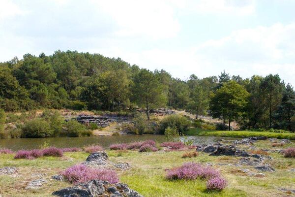Réserve naturelle régionale des Landes