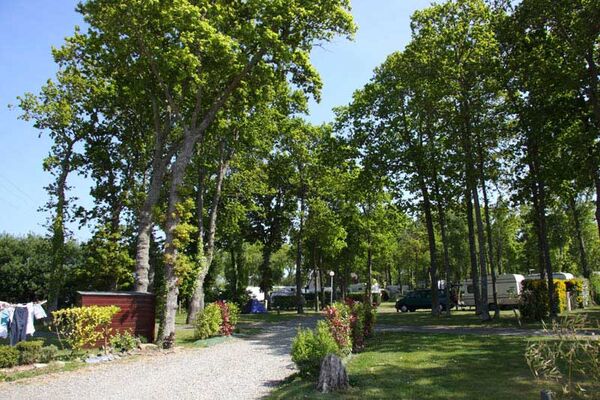 Camping le Bois Pastel