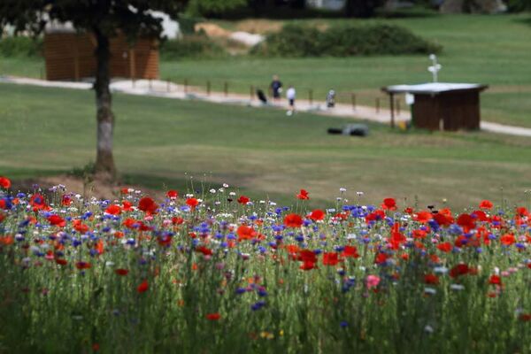 Carhaix Golf