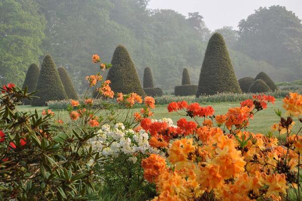 Parc Floral de Haute Bretagne
