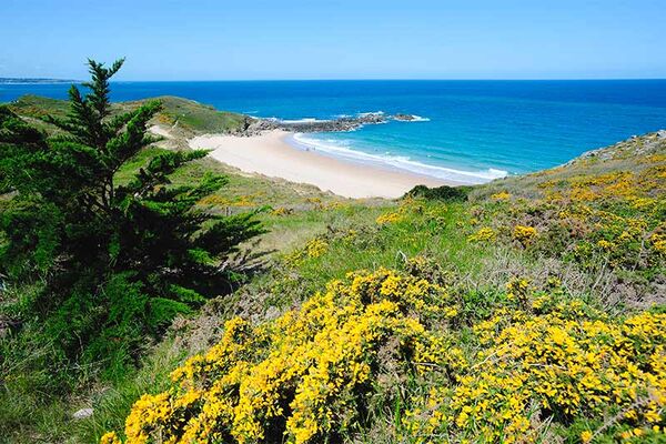 Plage de la Fosse