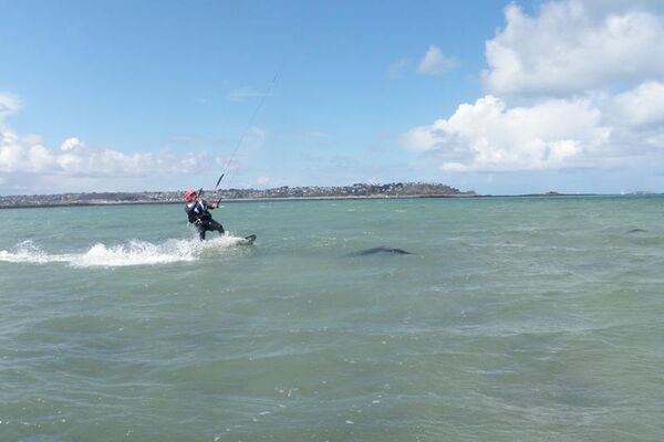 Trégor Kite