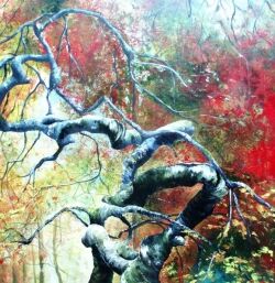 dominique-hardouin-exposition