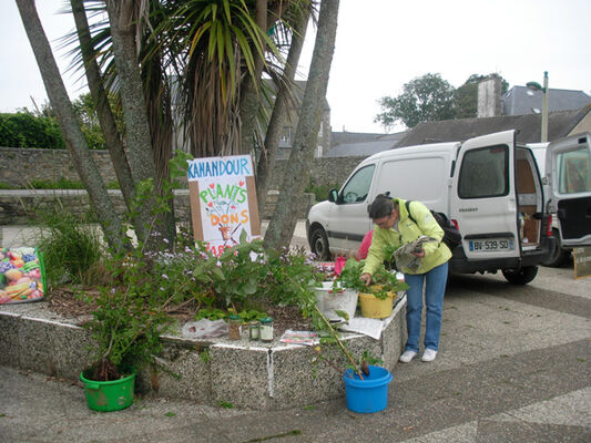 don-de-plantes