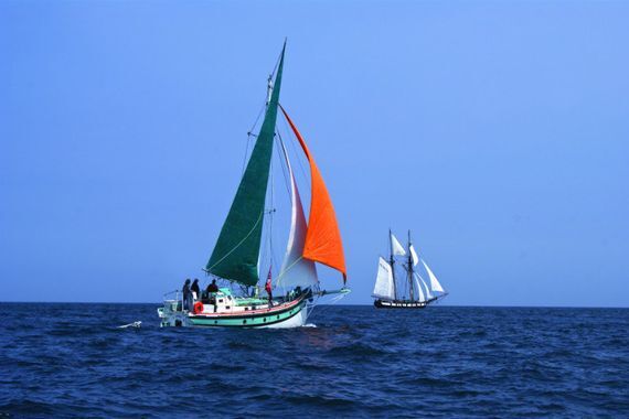L'île de Batz, la Baie de Morlaix à la voile