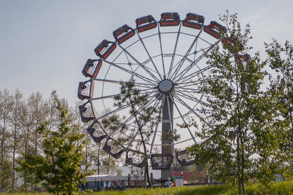 Kingoland
