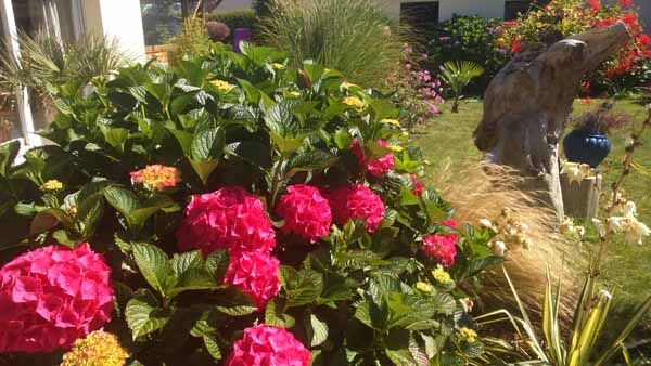 jardin
