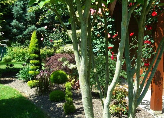 RDV aux jardins - Cathy Simon - Ploërmel - Brocéliande