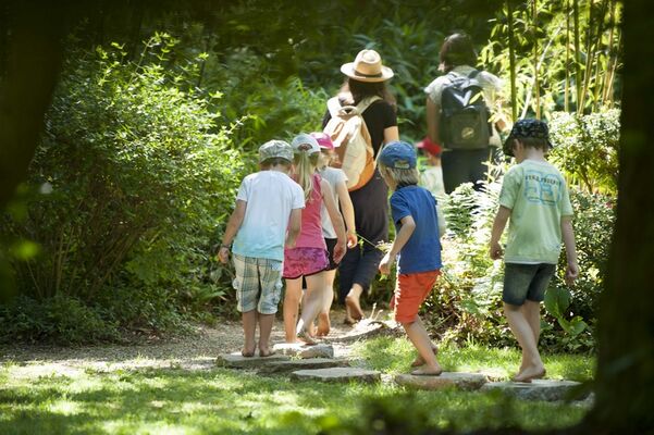 jardinasiatique_jardinsbroceliande_breal_thomascrabot