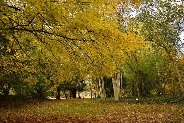 jardinsbroceliande_breal_estellegregoire