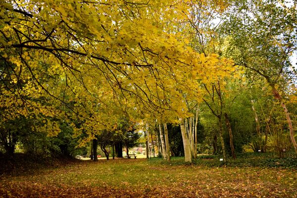 jardinsbroceliande_breal_estellegregoire