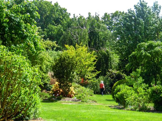 jardinsbroceliande2016_promenade
