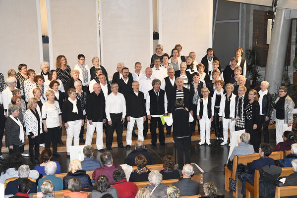 kam-s-chorale-nautile-2