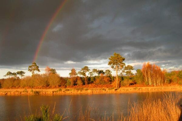 Réserve naturelle régionale des Landes