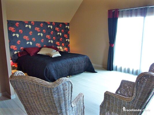 suite_maison_d_hotes_du_blavon_004