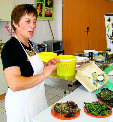 Atelier cuisine sur les algues - Scarlette Le Corre - Guilvinec - Pays Bigouden