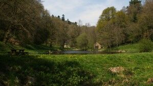 sentier-des-landes-Lizio-028