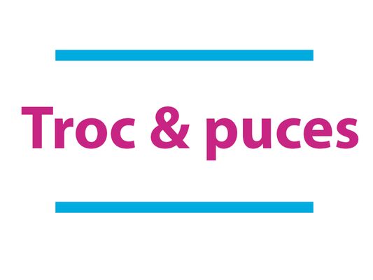 troc-et-puces
