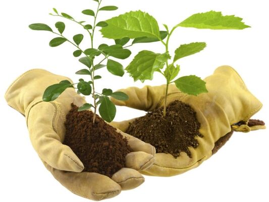 troc-plantes-4