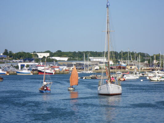 vieilles-coques
