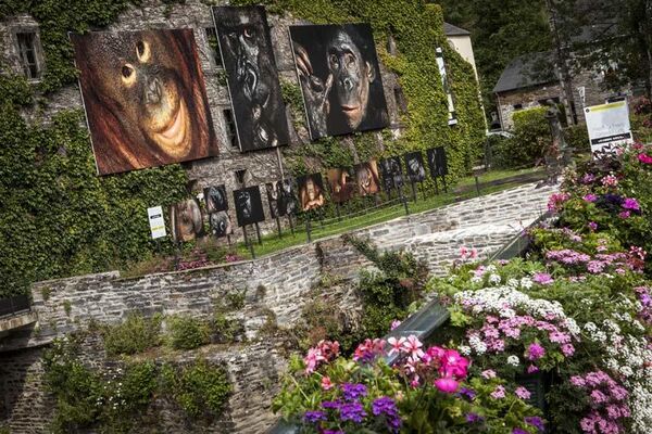 Festival Photo La Gacilly