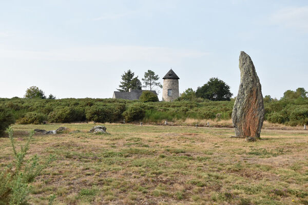 Maison Mégalithes et Landes