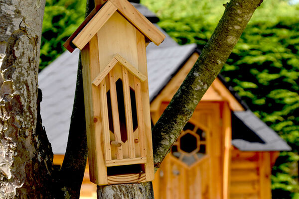 Glamping Terre & Mer