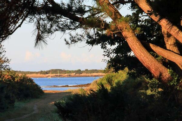 Camping de la Tour