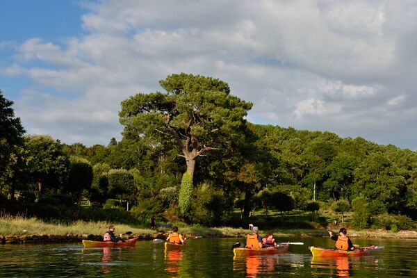 Patrimoine et nature du Golfe du Morbihan