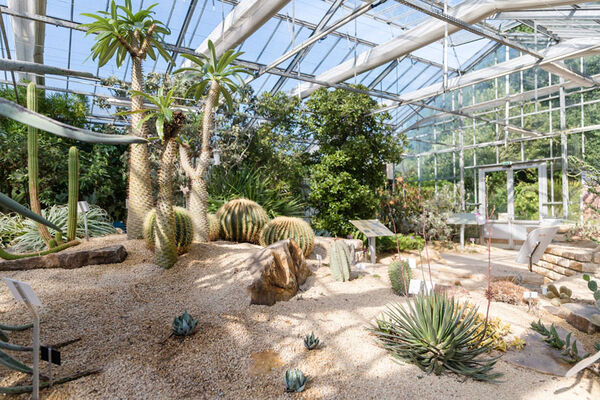 Jardin du Conservatoire botanique national de Brest