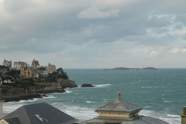 Le Goéland